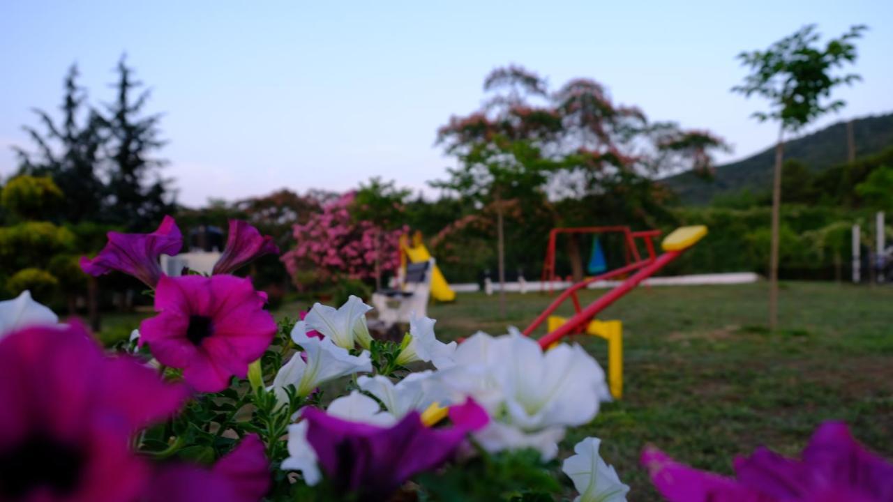 올림피아다 Casa Alegria 빌라 외부 사진